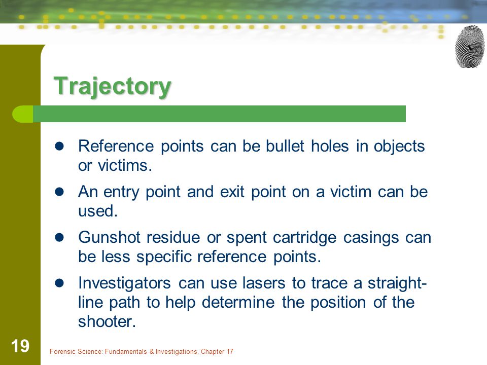 Trajectory Reference points can be bullet holes in objects or victims.