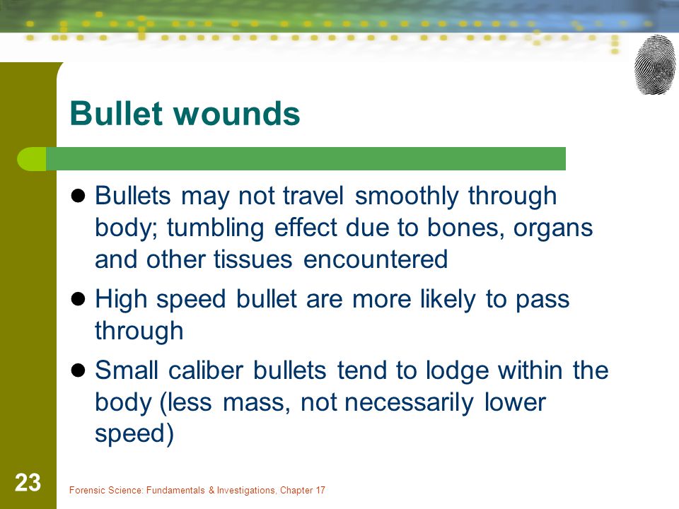 Bullet wounds Bullets may not travel smoothly through body; tumbling effect due to bones, organs and other tissues encountered.