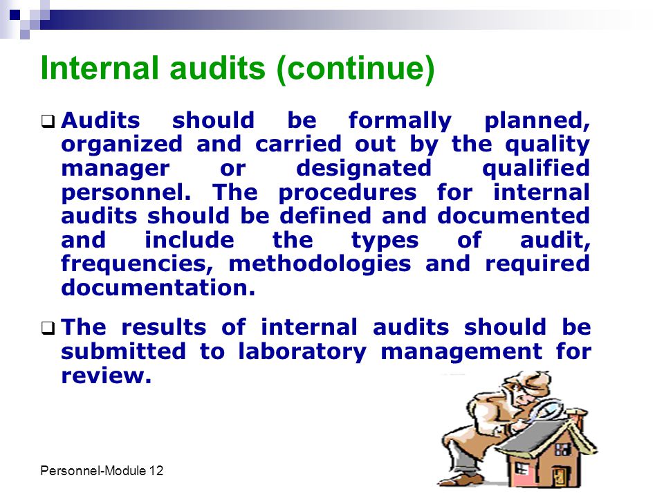 Internal audits (continue)