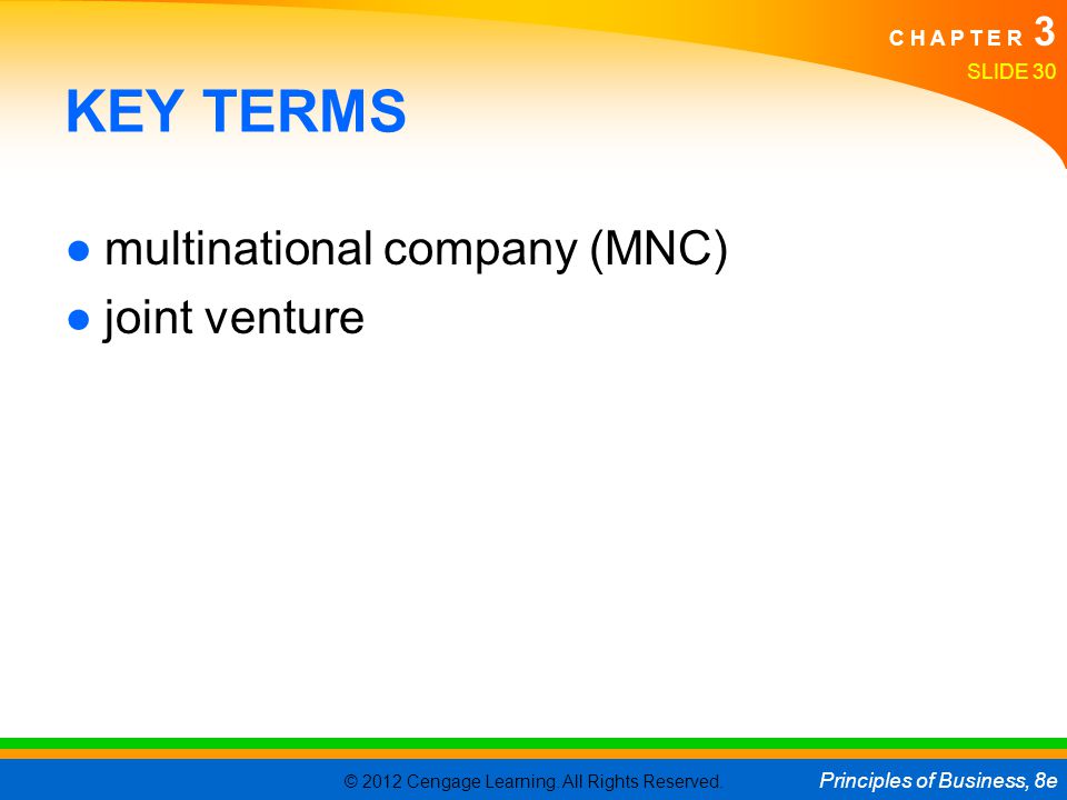KEY TERMS multinational company (MNC) joint venture