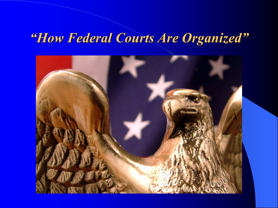 How Federal Courts Are Organized