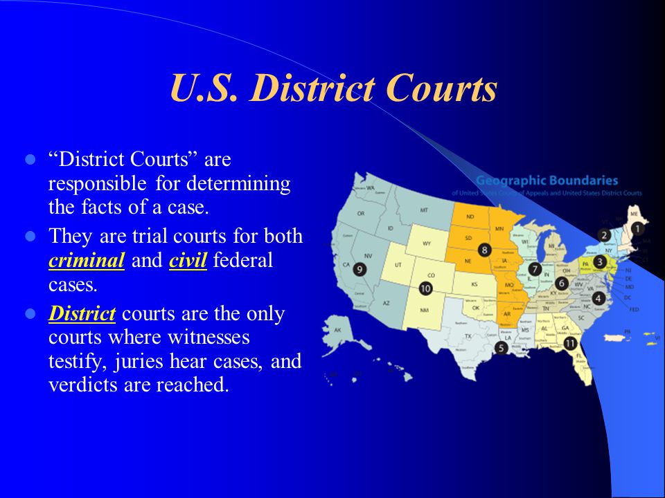 U.S. District Courts District Courts are responsible for determining the facts of a case.