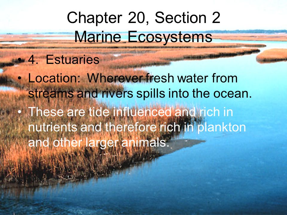 Chapter 20, Section 2 Marine Ecosystems