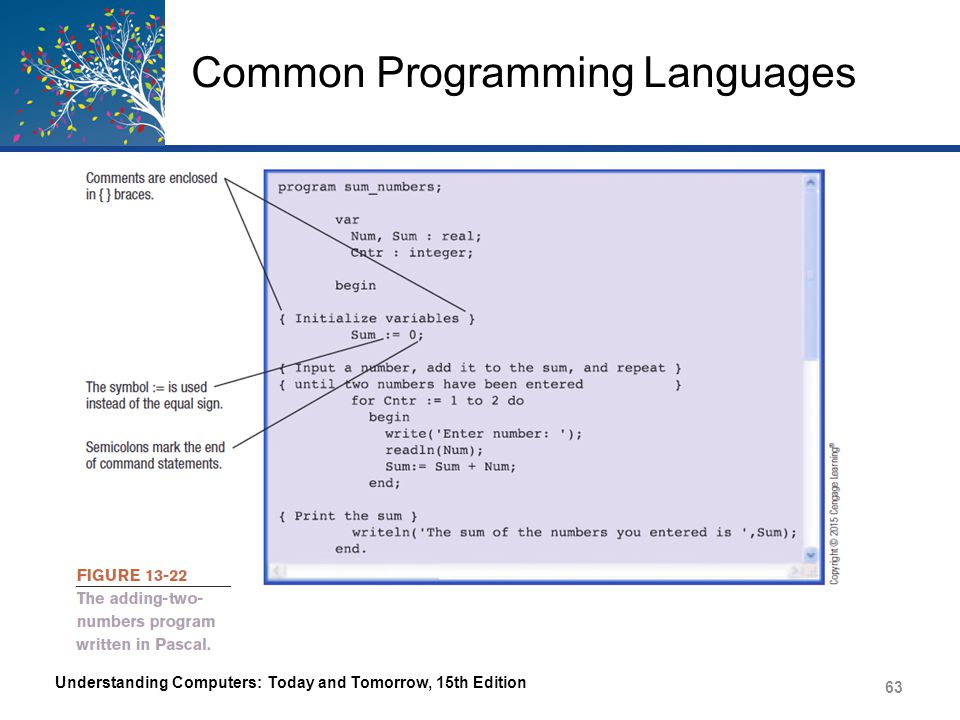 Common Programming Languages