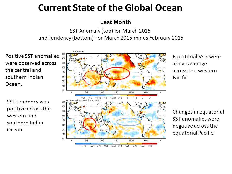 Current State of the Global Ocean