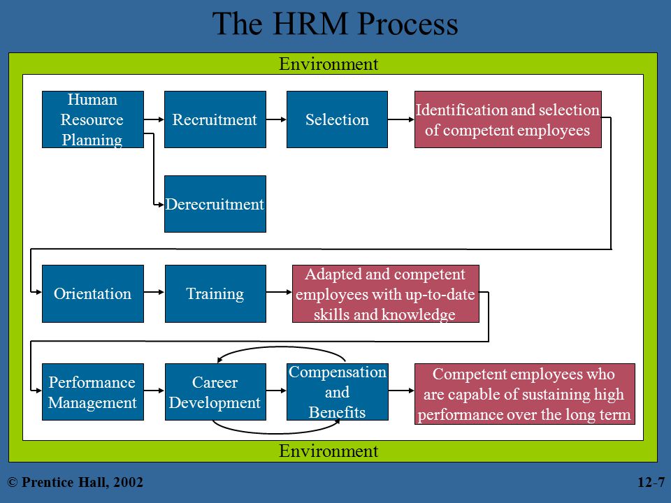 The HRM Process Environment Compensation and Benefits Career