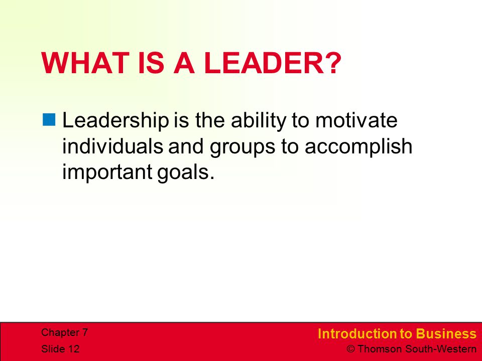 WHAT IS A LEADER Leadership is the ability to motivate individuals and groups to accomplish important goals.