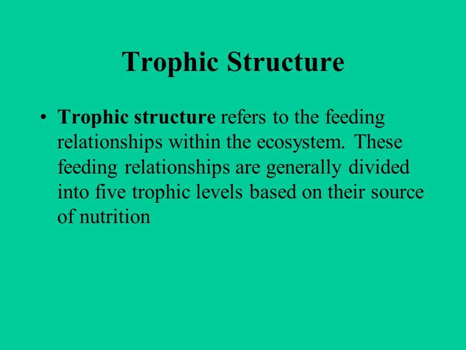 Trophic Structure