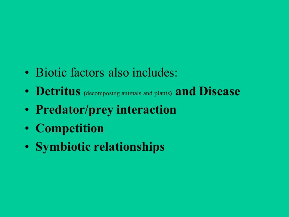 Biotic factors also includes: