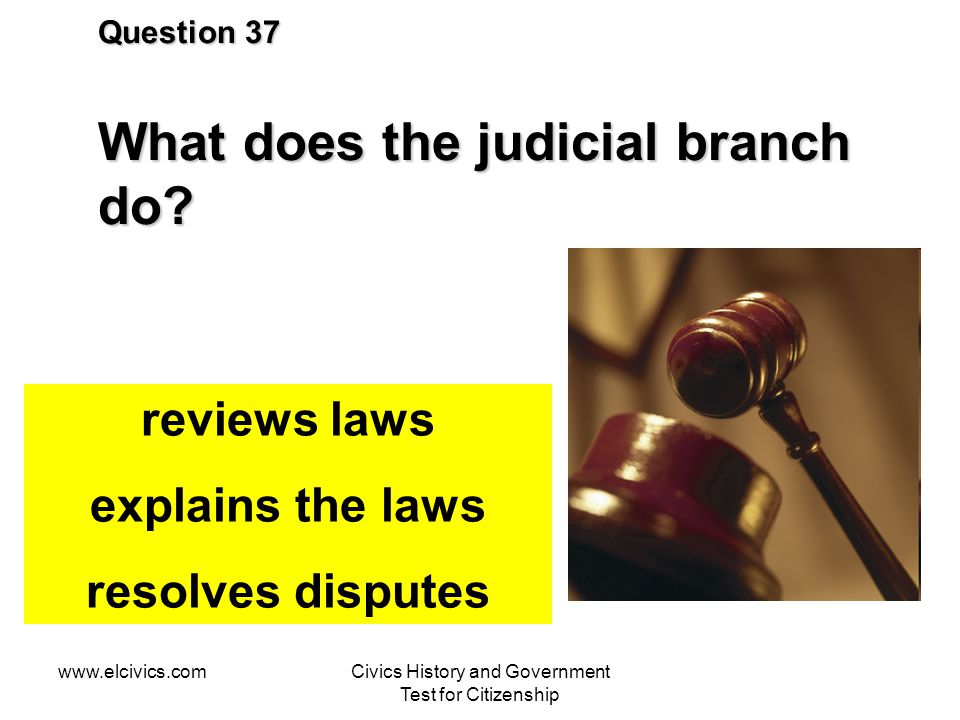 Question 37 What does the judicial branch do