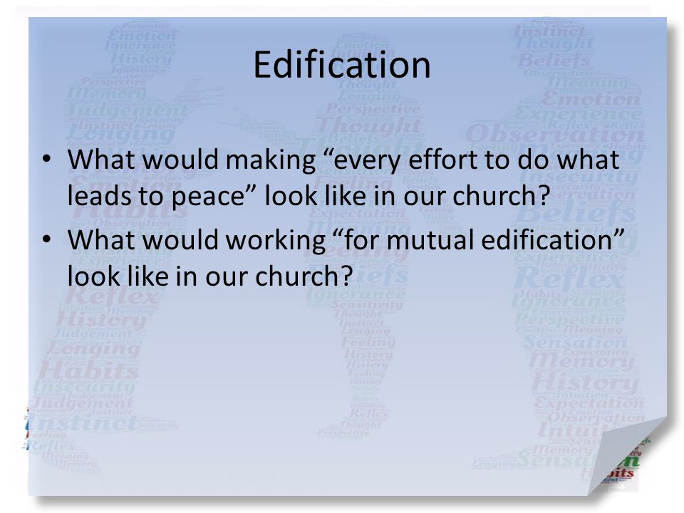 Edification What would making every effort to do what leads to peace look like in our church
