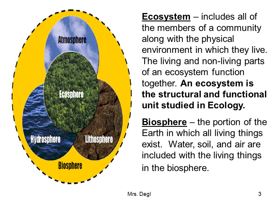 Ecosystem – includes all of the members of a community along with the physical environment in which they live. The living and non-living parts of an ecosystem function together. An ecosystem is the structural and functional unit studied in Ecology.