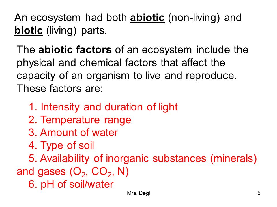 An ecosystem had both abiotic (non-living) and biotic (living) parts.