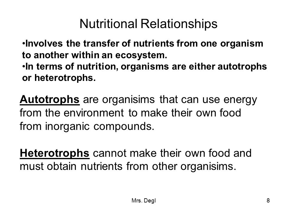 Nutritional Relationships