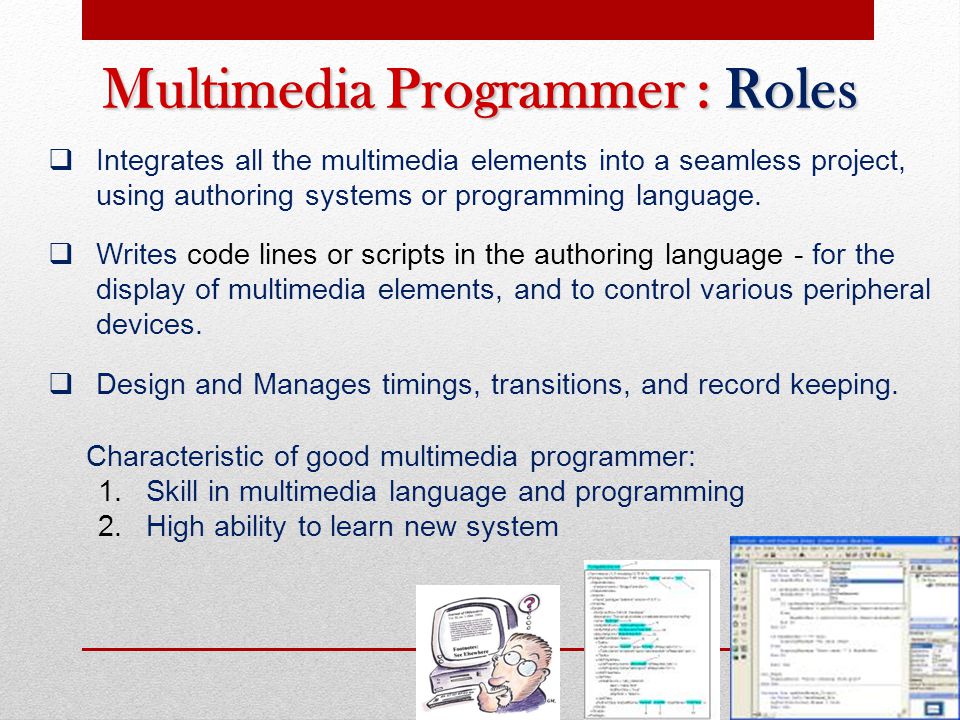 Multimedia Programmer : Roles
