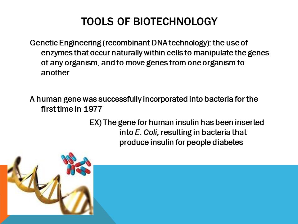 Tools of biotechnology