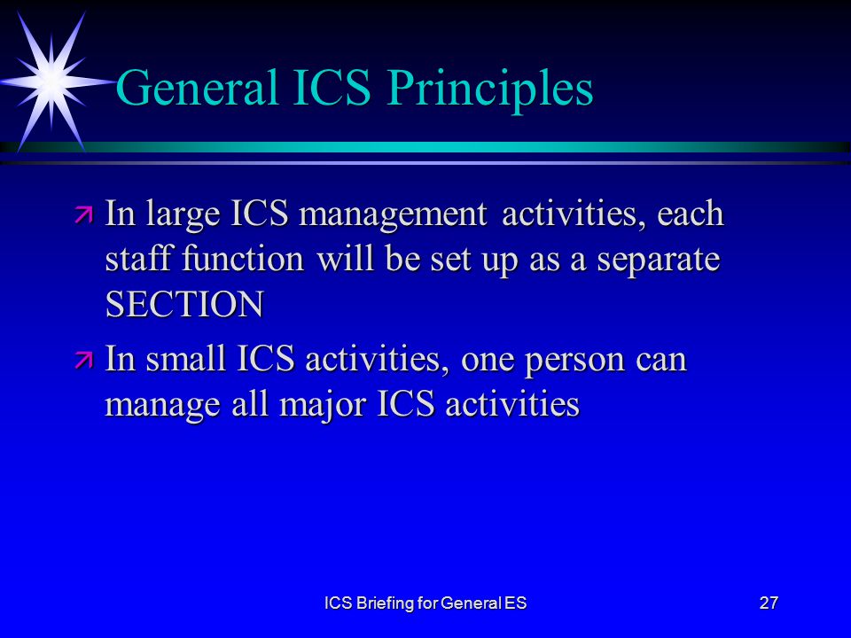 General ICS Principles
