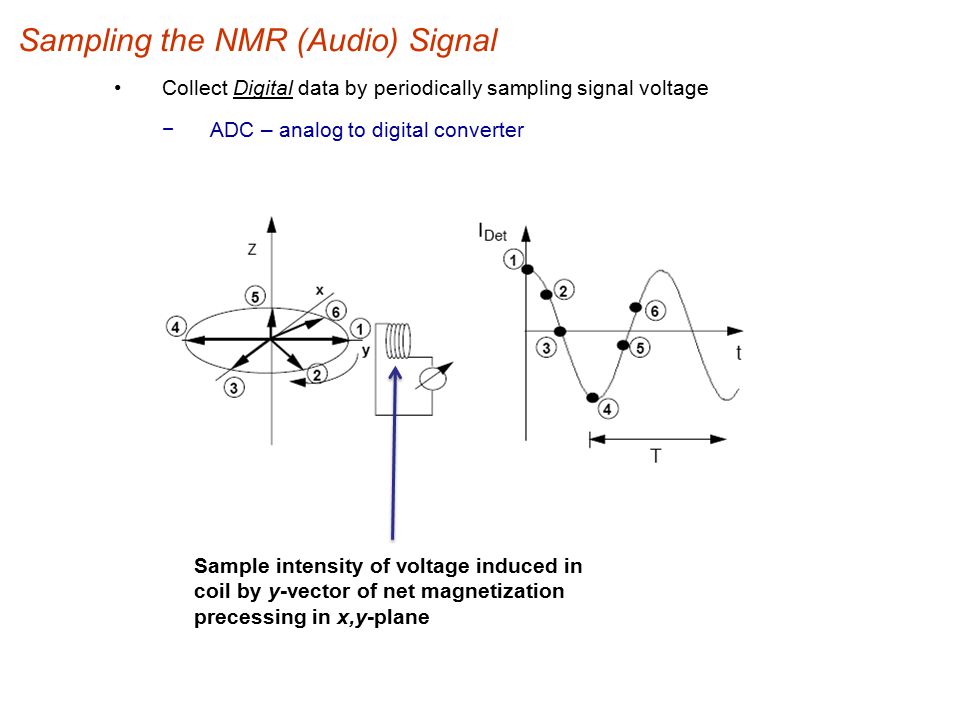 Sampling the NMR (Audio) Signal