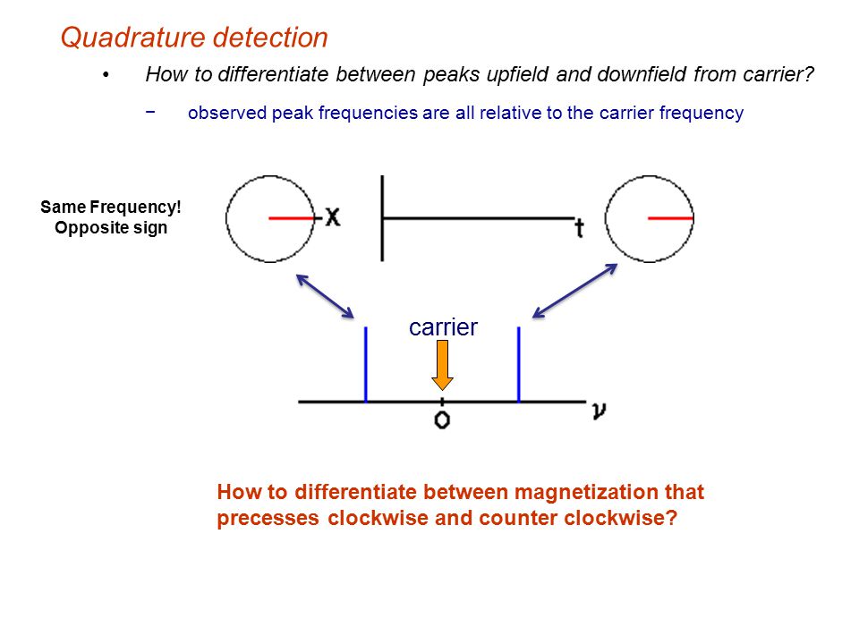 Quadrature detection carrier