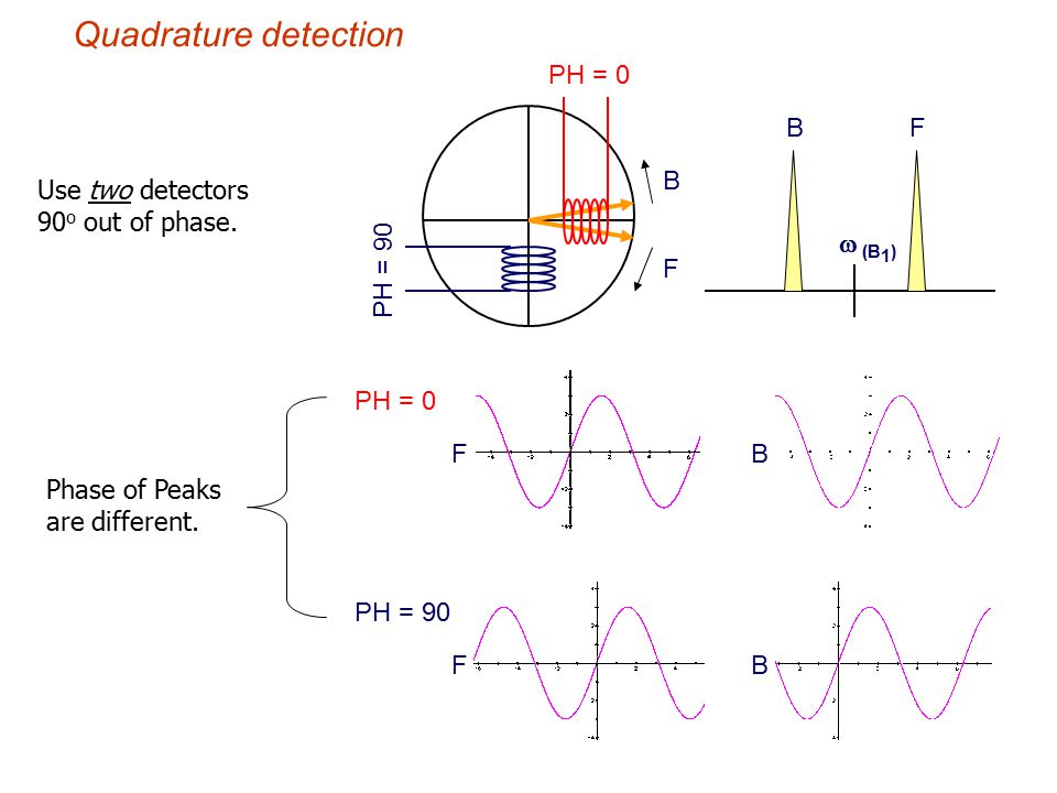 Quadrature detection PH = 0 B F B Use two detectors 90o out of phase.