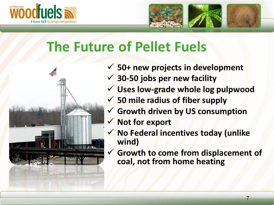The Future of Pellet Fuels