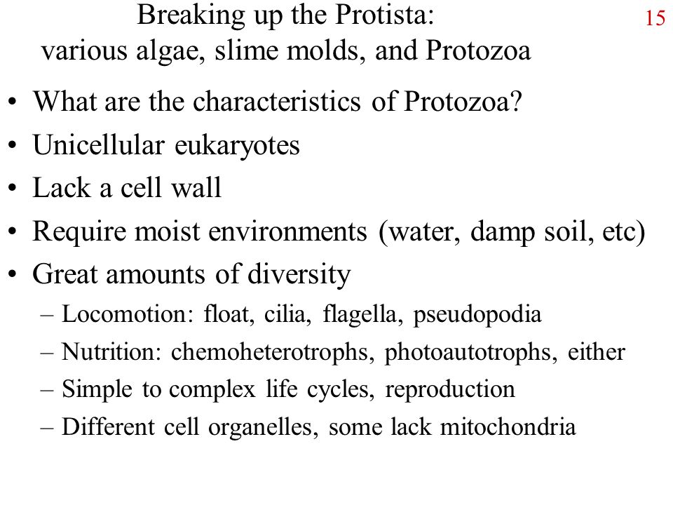 Breaking up the Protista: various algae, slime molds, and Protozoa