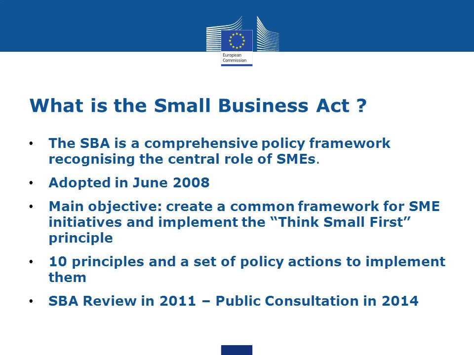 What is the Small Business Act