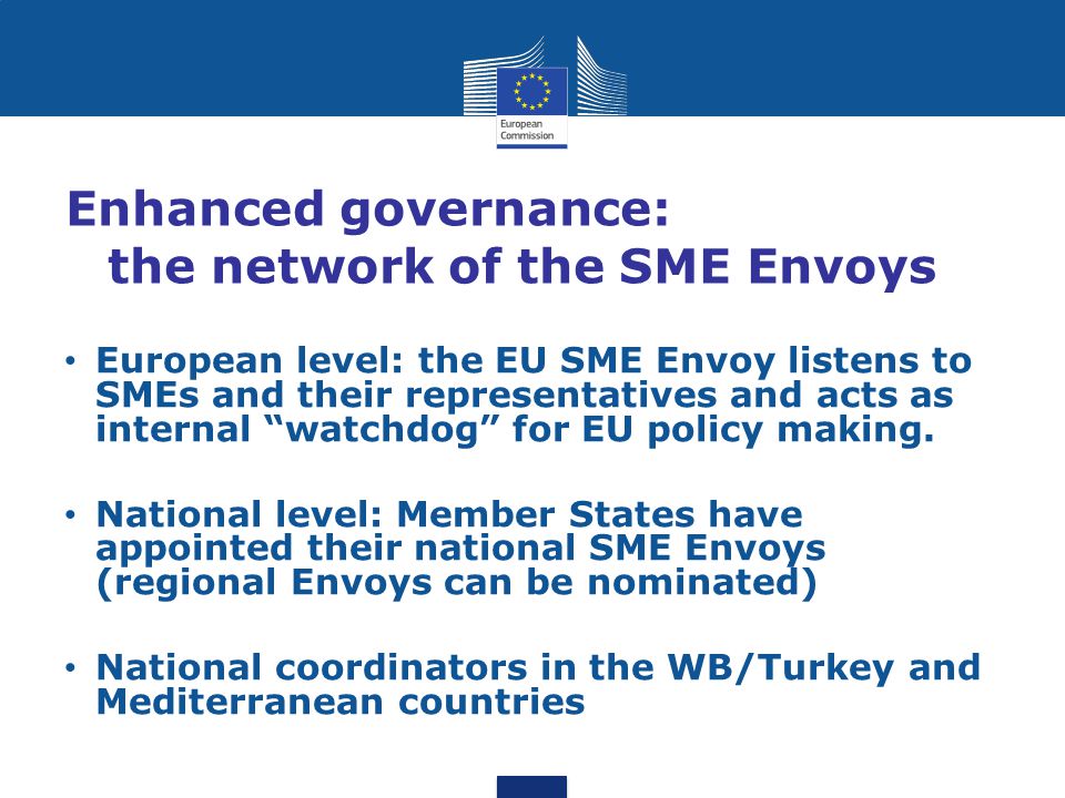 Enhanced governance: the network of the SME Envoys