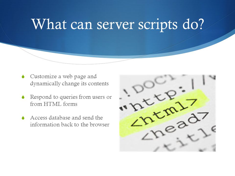 What can server scripts do