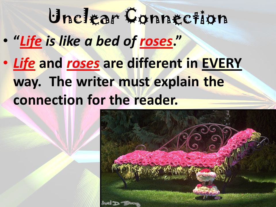 Unclear Connection Life is like a bed of roses.