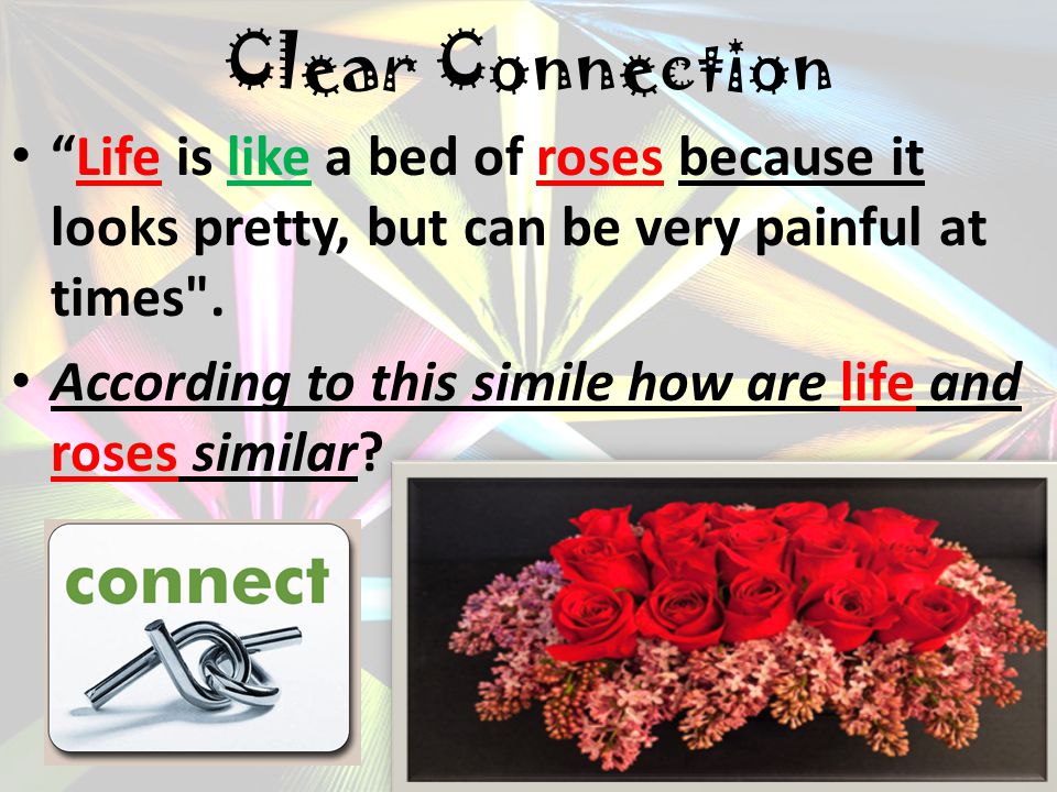 Clear Connection Life is like a bed of roses because it looks pretty, but can be very painful at times .