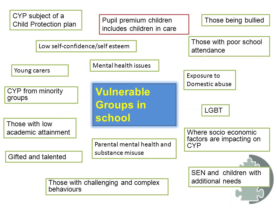 Vulnerable Groups in school