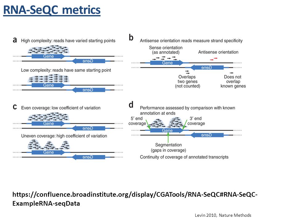 RNA-SeQC metrics