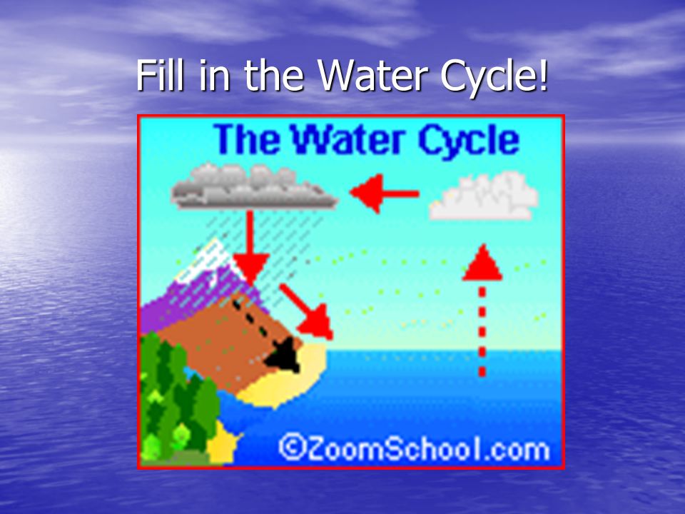 Fill in the Water Cycle!