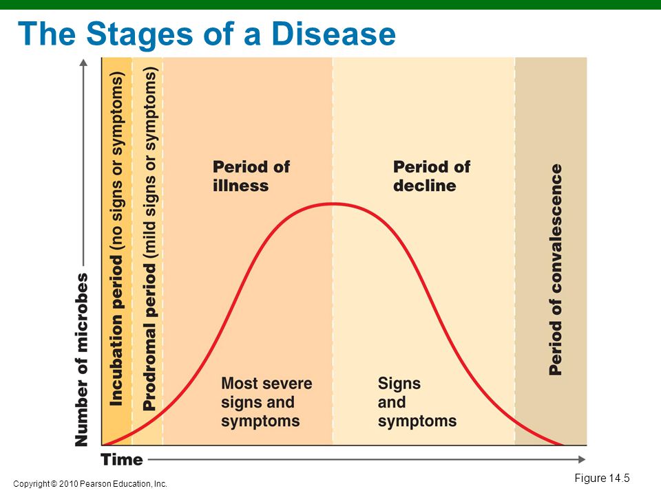 The Stages of a Disease Figure 14.5