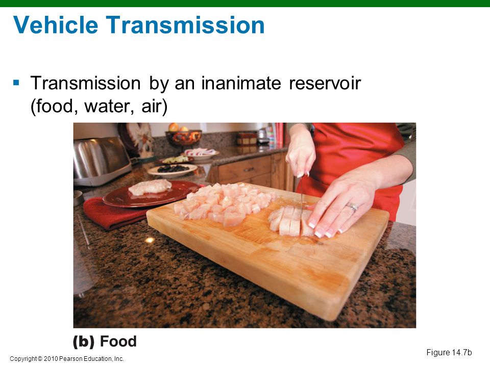 Vehicle Transmission Transmission by an inanimate reservoir (food, water, air) Figure 14.7b