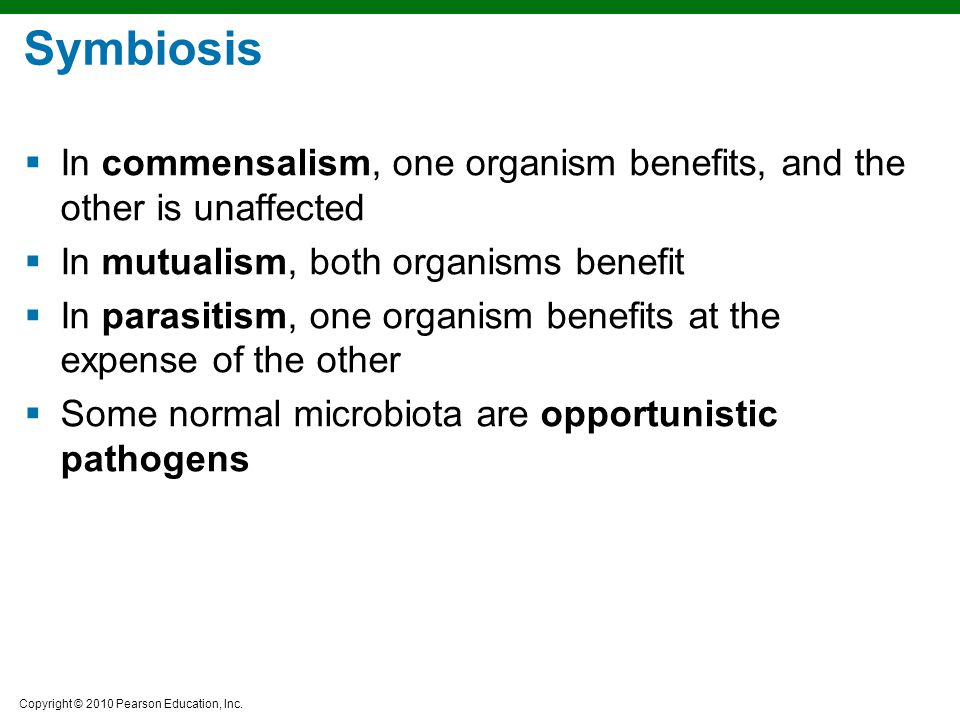 Symbiosis In commensalism, one organism benefits, and the other is unaffected. In mutualism, both organisms benefit.