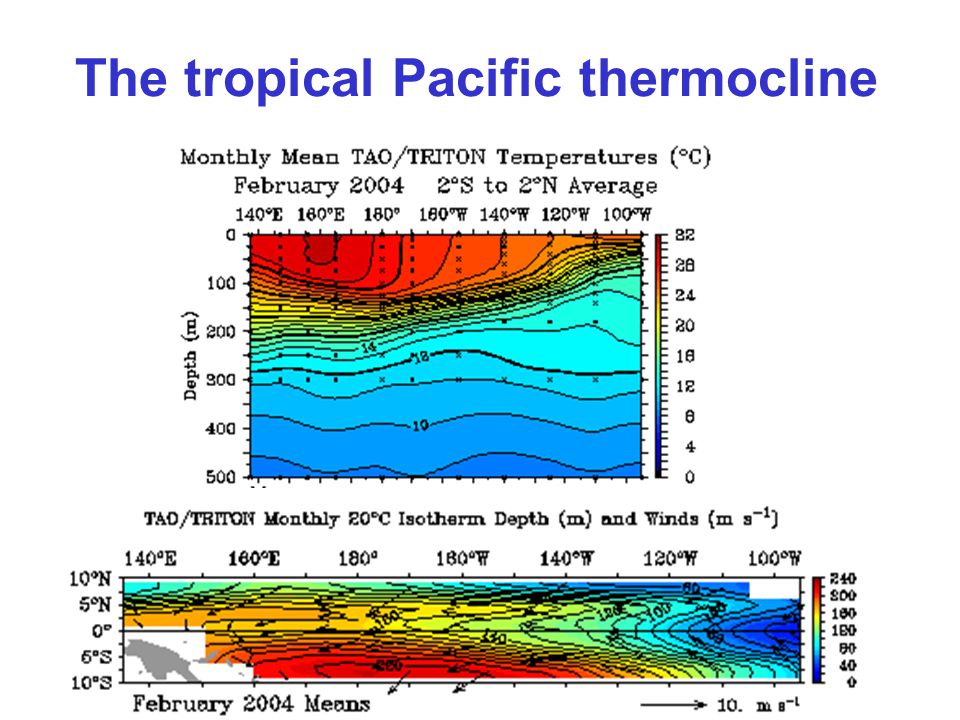 The tropical Pacific thermocline