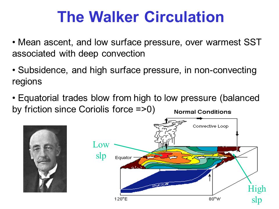 The Walker Circulation