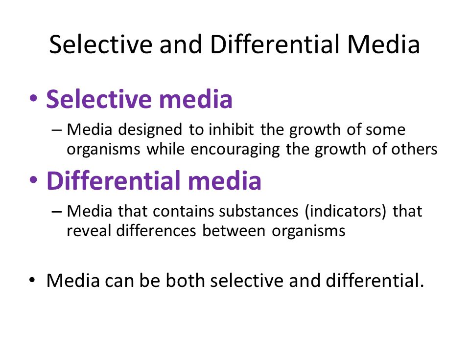 Selective And Differential Media Chart