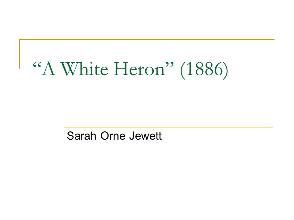 a white heron theme