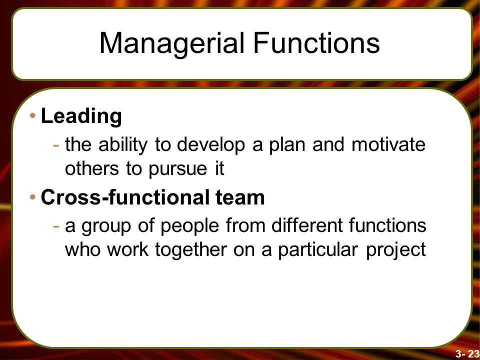 Managerial Functions Leading Cross-functional team