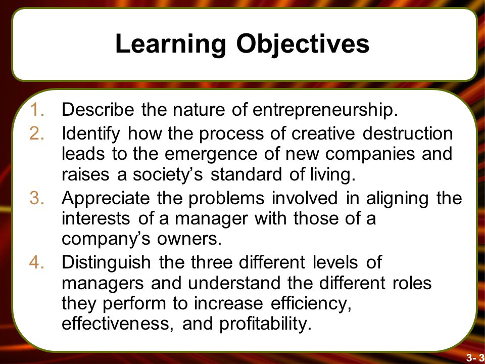Learning Objectives Describe the nature of entrepreneurship.