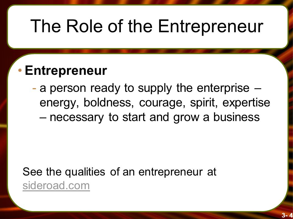 The Role of the Entrepreneur