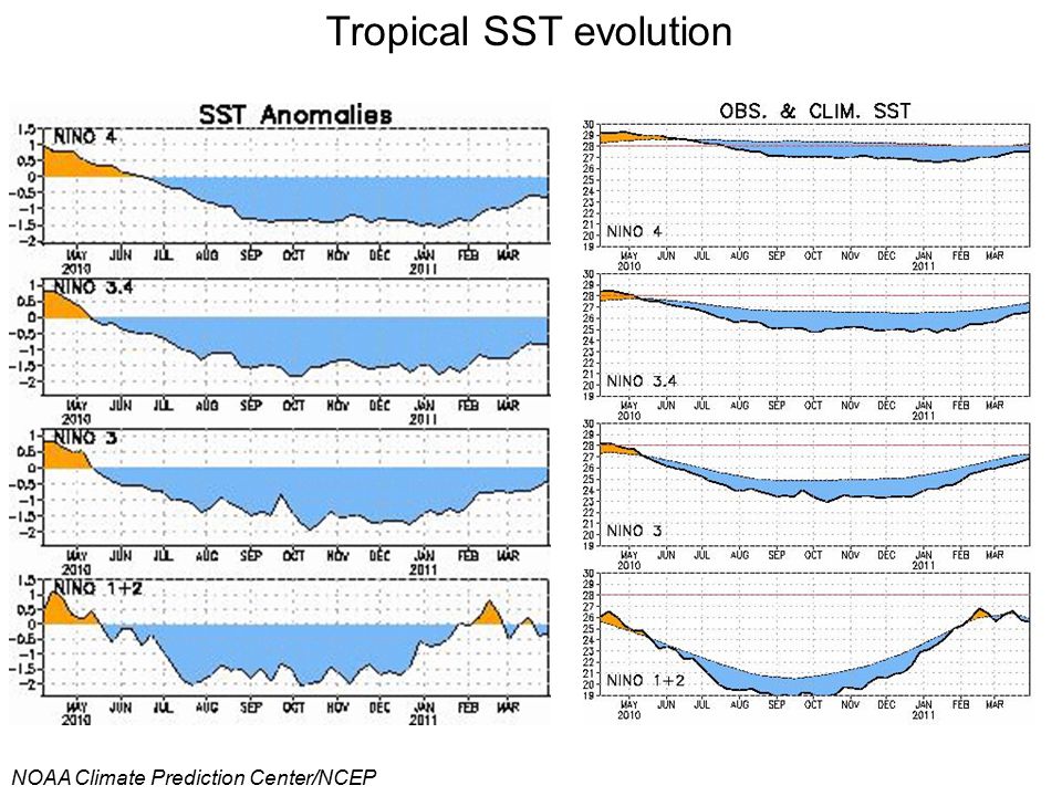 Tropical SST evolution