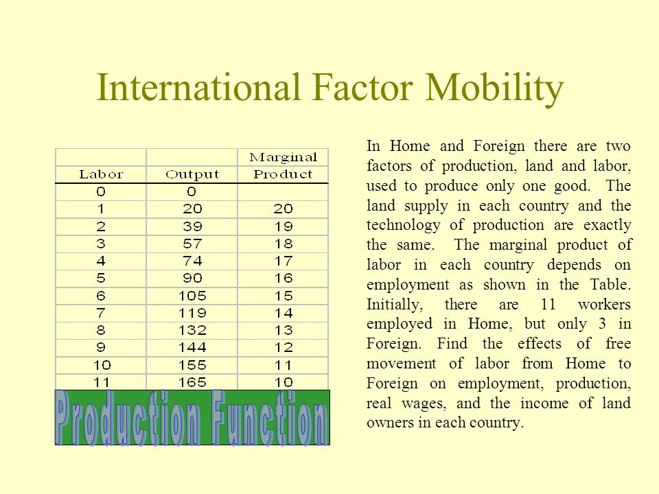International Factor Mobility