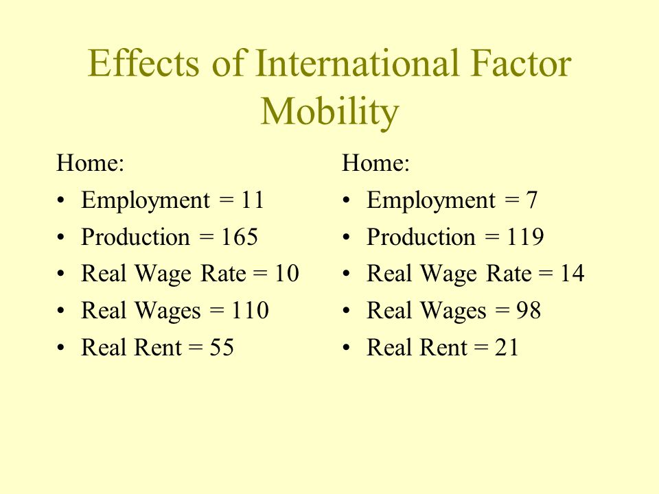 Effects of International Factor Mobility