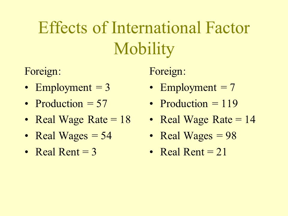 Effects of International Factor Mobility