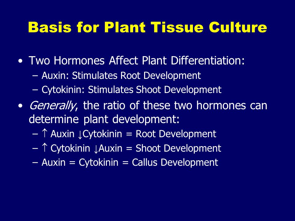Basis for Plant Tissue Culture