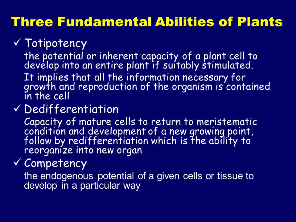 Three Fundamental Abilities of Plants